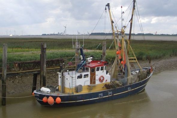Fischkutter in Pogum Ferienhaus Amelsberg Fewo in Leer Ostfriesland