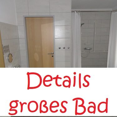 Detail zum Bad mit Dusche im Ferienhaus